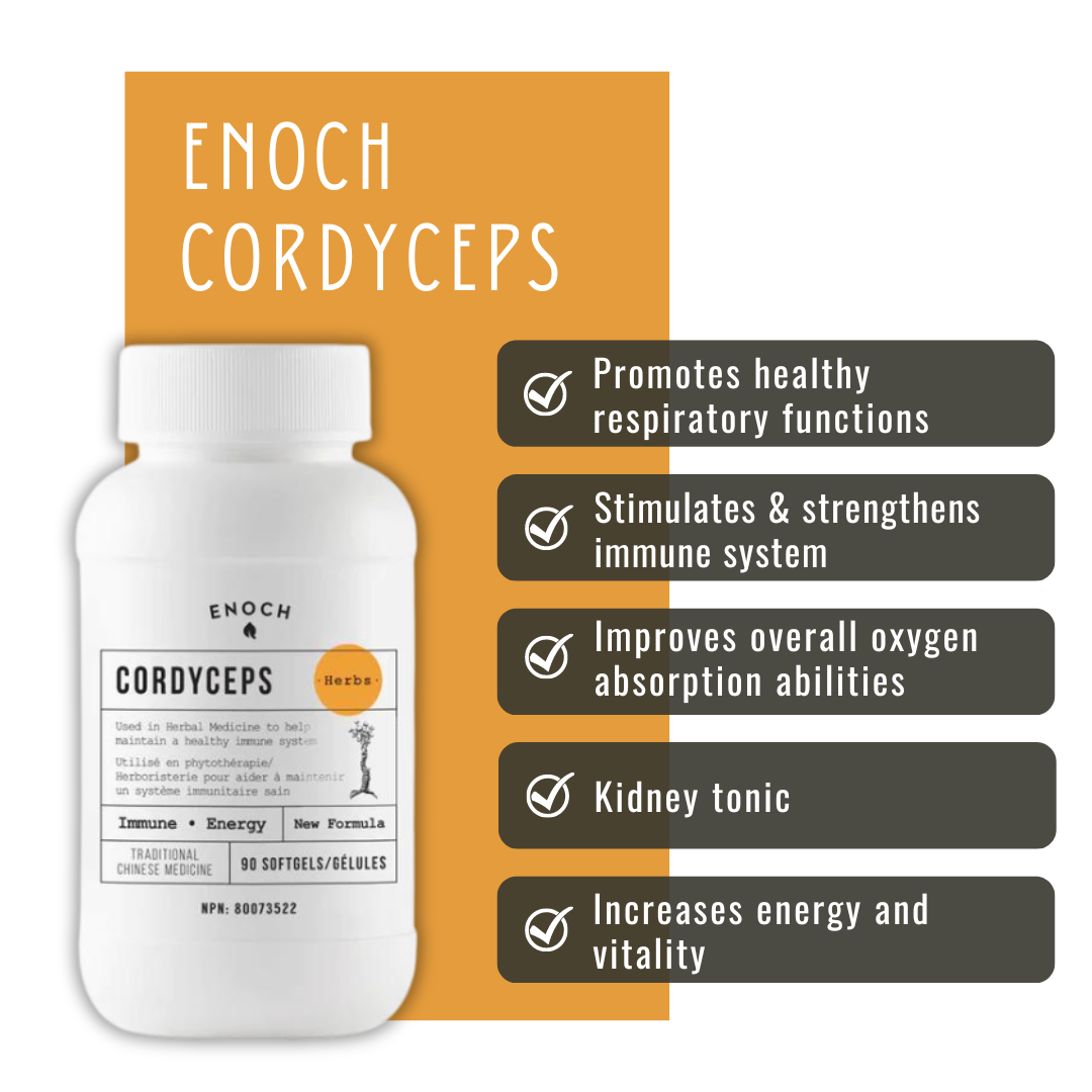 Cordyceps, Respiratory health, Immune health, Kidney health, Traditional medicine