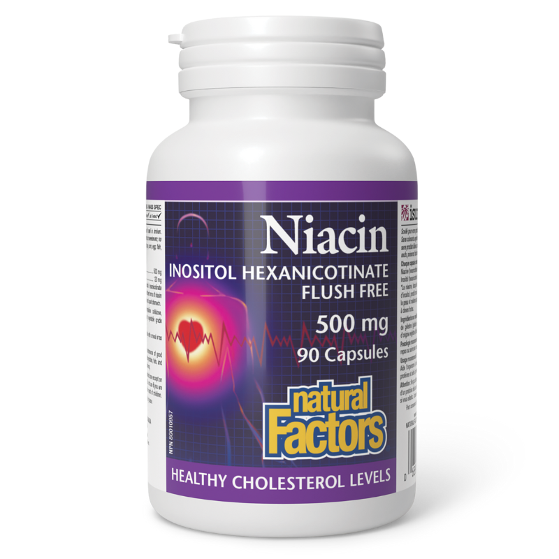 Natural Factors 維生素B3 煙酰胺酸膠囊 500毫克 90粒