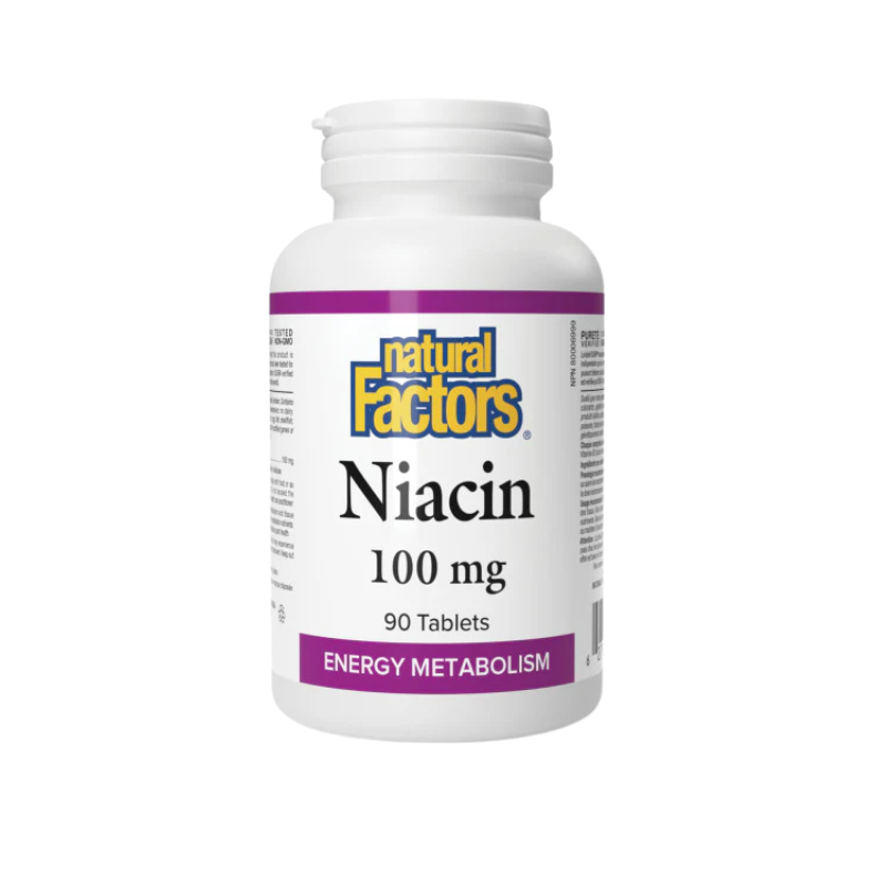 Natural Factors Niacin 100 mg 90 Tablets
