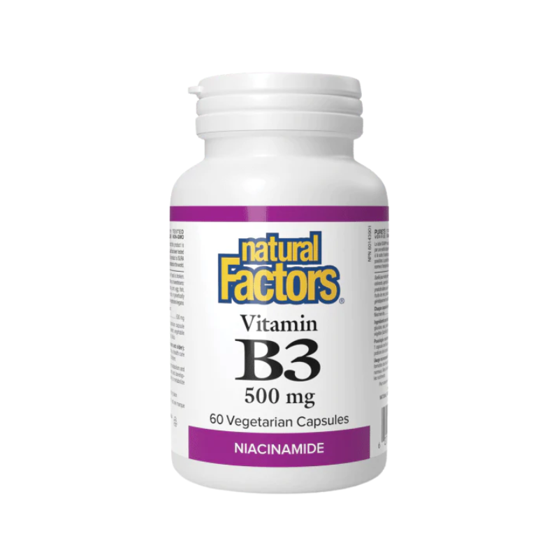 Natural Factors Vitamin B3 Niacinamide 500mg 60 Vcapsules