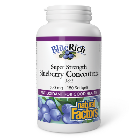 Natural Factors BlueRich Super Strength Blueberry Concentrate 500mg 180Softgels