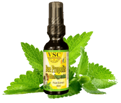 VSC Bee Propolis plus Peppermint Spray 30ml