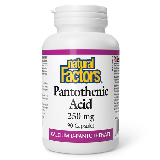 Natural Factors Pantothenic Acid 250 mg 90 Capsules