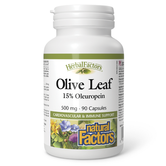 Natural Factors Olive Leaf 500 mg 90 Capsules
