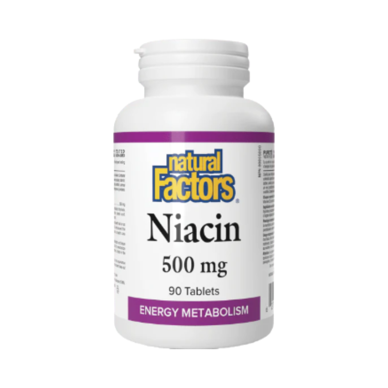 Natural Factors Niacin 500mg 90 Tablets