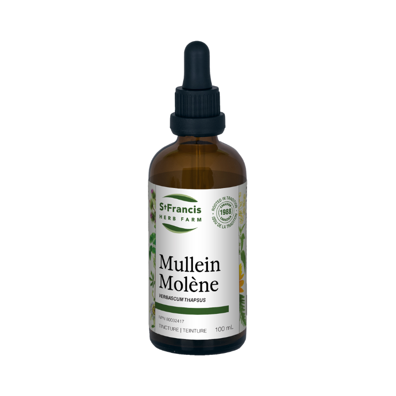St. Francis Mullein 100ml