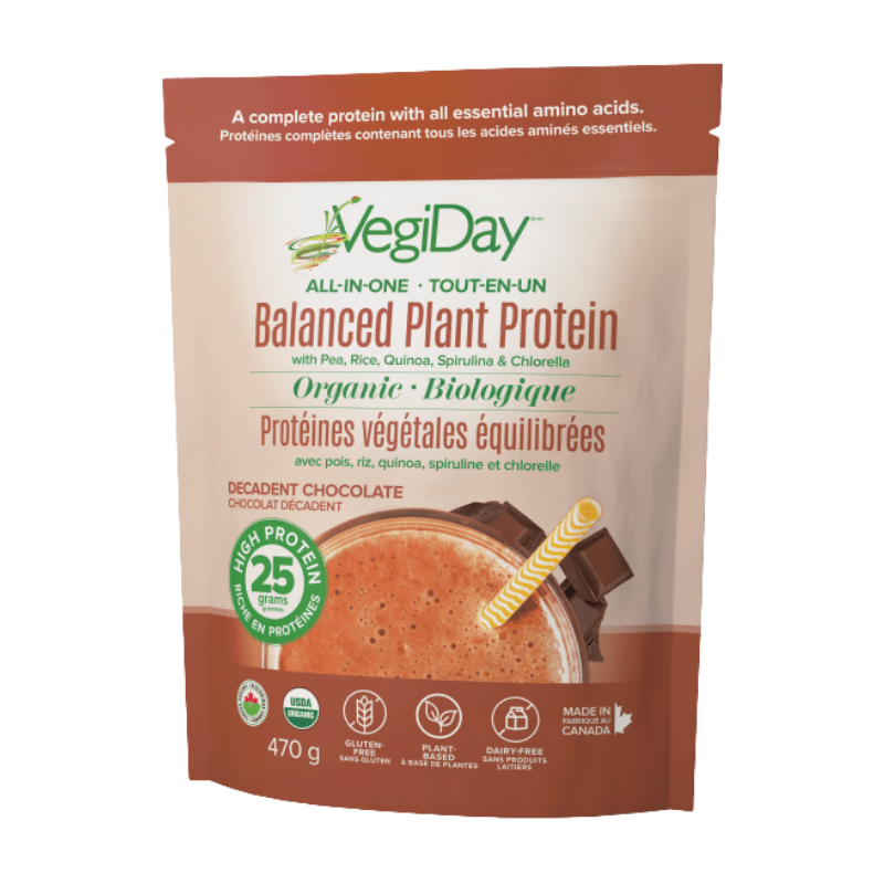 [BOGO] VegiDay All-In-One Plant Protein Chocolate 470g