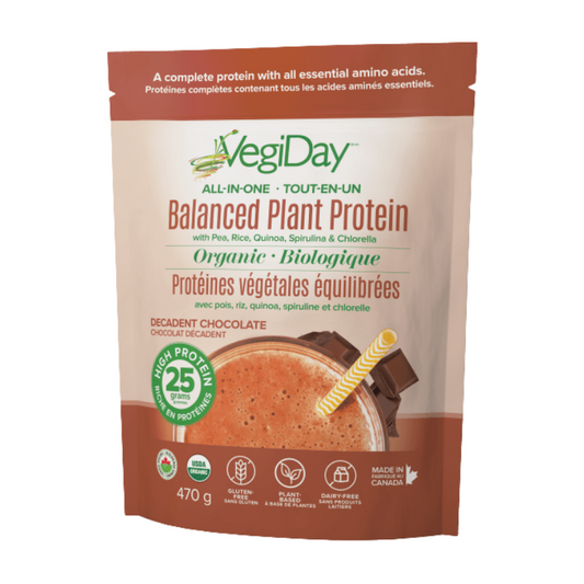 [BOGO] VegiDay All-In-One Plant Protein Chocolate 470g