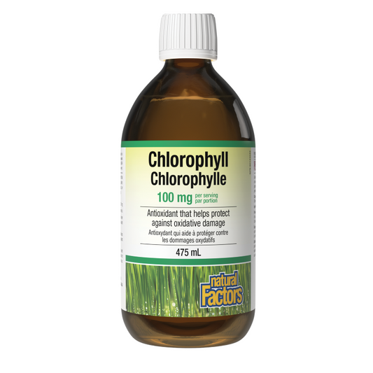 Natural Factors Chlorophyll 475ml