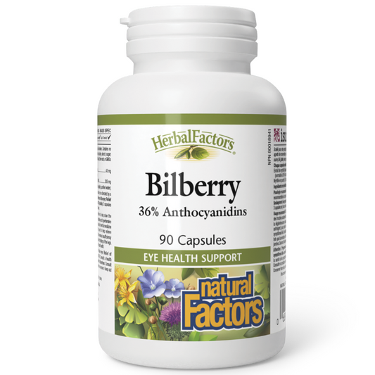 Natural Factors Bilberry Extract 40mg 90 Capsules